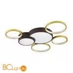 Потолочный светильник Lumion Norbert 5255/99CL