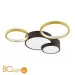 Потолочный светильник Lumion Norbert 5255/64CL