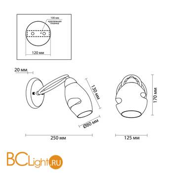 Бра Lumion Orla 4483/1W - Схема