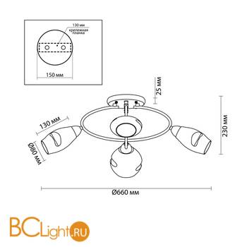 Потолочная люстра Lumion Orla 4483/4C - Схема