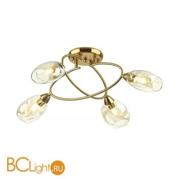 Потолочная люстра Lumion Orla 4483/4C - Фото 0
