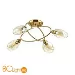 Потолочная люстра Lumion Orla 4483/4C