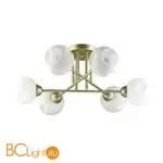 Люстра Lumion Paige 4519/6C