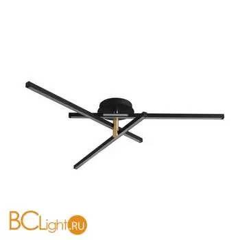 Потолочный светильник Lumion PARKER 6547/56CL