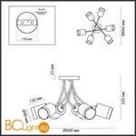 Люстра Lumion Paula 4533/6C - Фото 1