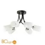 Люстра Lumion Paula 4533/6C - Фото 0