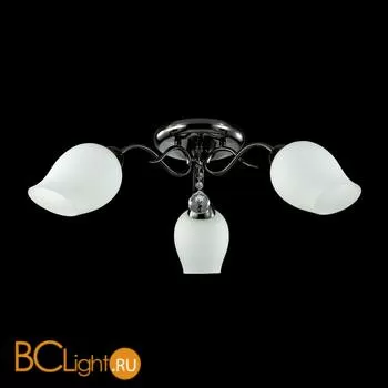 Потолочная люстра Lumion Rondina 3076/3C