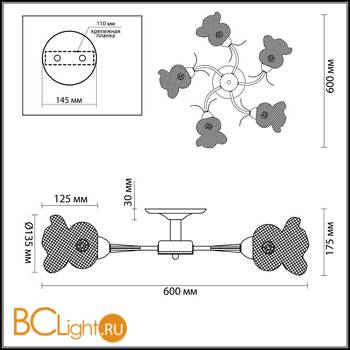 Потолочная люстра Lumion Rozetta 3108/5C - Схема