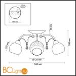 Потолочная люстра Lumion Siverina 3064/3C - Схема