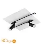 Потолочный светильник Lumion STELLS 8256/40CL