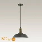 Подвесной светильник Lumion Stig 3677/1 - Фото 1