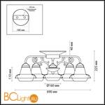 Потолочная люстра Lumion Tefida 3105/5C - Схема
