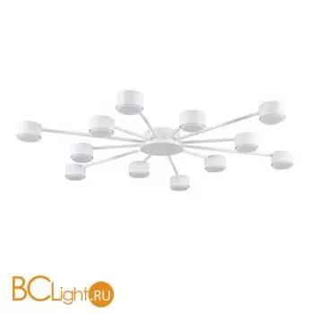 Люстра Lumion TORINA 8343/12C