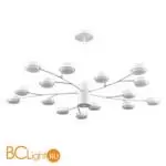 Люстра Lumion TORINA 8265/15