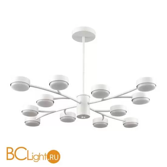 Люстра Lumion TORINA 8265/12