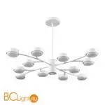 Люстра Lumion TORINA 8265/12