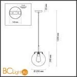 Подвесной светильник Lumion Trevor 4590/1 - Фото 1