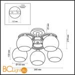 Потолочная люстра Lumion Vesonto 2774/5C - Схема
