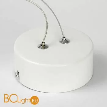 Подвесной светильник Lussole Loft Aberdeen LSP-7085 - Фото 3