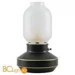 Настольный светильник Lussole Loft Anchorage LSP-0568