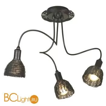 Потолочная люстра Lussole Loft Ancona LSN-1003-03
