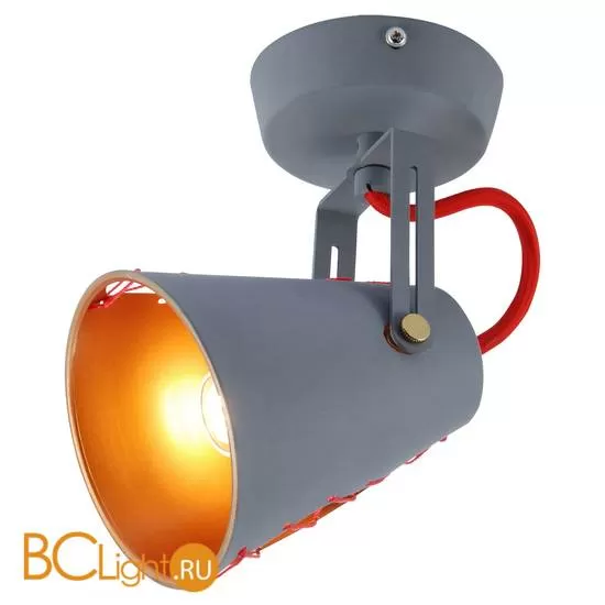 Потолочный светильник Lussole Loft Anso LSP-8020