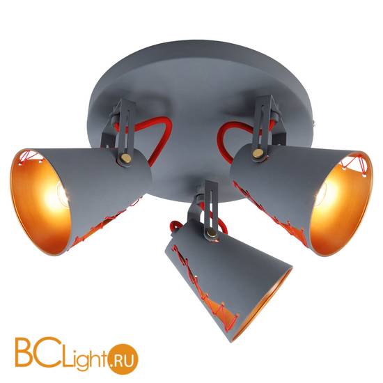 Потолочный светильник Lussole Loft Anso LSP-8021