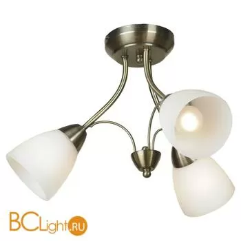 Потолочная люстра Lussole Loft Antic LSP-1873