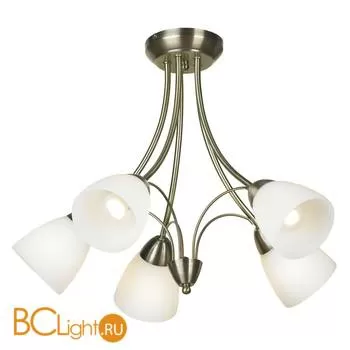 Потолочная люстра Lussole Loft Antic LSP-1875