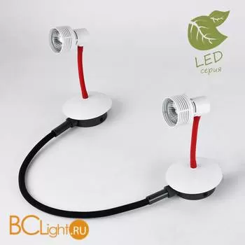 Потолочный светильник Lussole Loft Arina GRLSP-9818-02