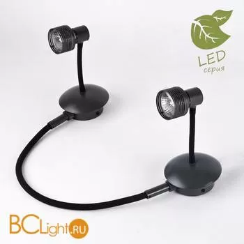 Потолочный светильник Lussole Loft Arina GRLSP-9821-02