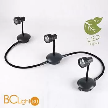 Потолочный светильник Lussole Loft Arina GRLSP-9821-03