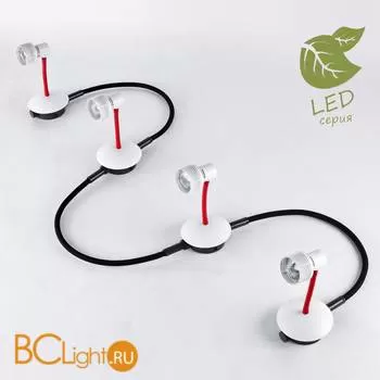 Потолочный светильник Lussole Loft Arina GRLSP-9818-04