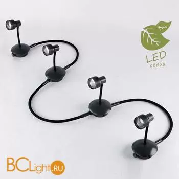 Потолочный светильник Lussole Loft Arina GRLSP-9821-04