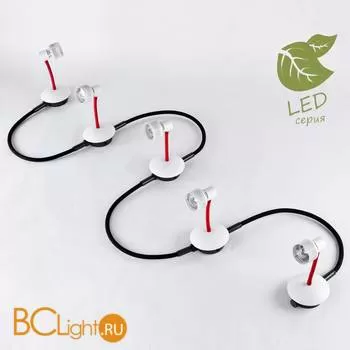 Потолочный светильник Lussole Loft Arina GRLSP-9818-05