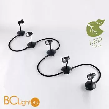 Потолочный светильник Lussole Loft Arina GRLSP-9821-05