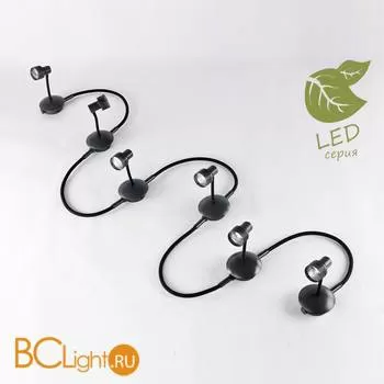 Потолочный светильник Lussole Loft Arina GRLSP-9821-06