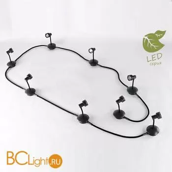 Потолочный светильник Lussole Loft Arina GRLSP-9821-08