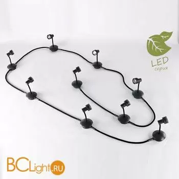 Потолочный светильник Lussole Loft Arina GRLSP-9821-09