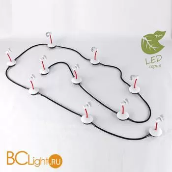 Потолочный светильник Lussole Loft Arina GRLSP-9818-10