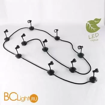 Потолочный светильник Lussole Loft Arina GRLSP-9821-10