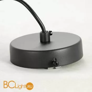 Подвесной светильник Lussole Loft Astoria LSP-8498 - Фото 4