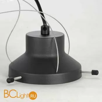 Подвесной светильник Lussole Loft Astoria LSP-8499 - Фото 4