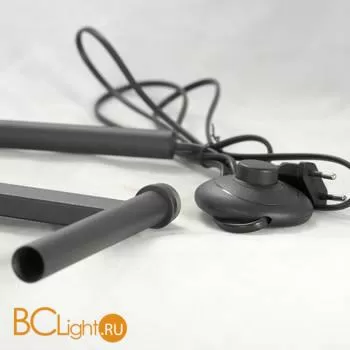 Торшер Lussole Loft Astoria LSP-0601 - Фото 2