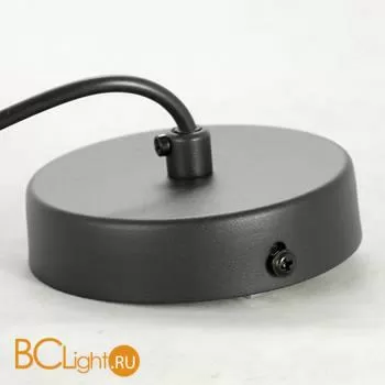 Подвесной светильник Lussole Loft Astoria LSP-8520 - Фото 4