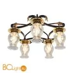 Потолочная люстра Lussole Autumn LSP-0092