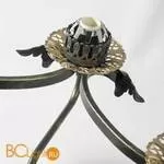 Потолочная люстра Lussole Autumn LSP-0092 - Фото 0