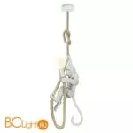 Подвесной светильник Lussole Loft Aya LSP-9993