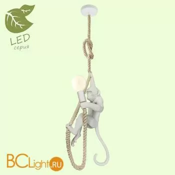 Подвесной светильник Lussole Loft Aya GRLSP-9993