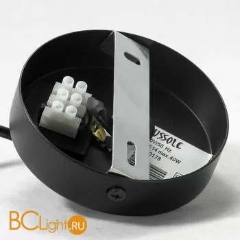 Подвесной светильник Lussole Loft Berta LSP-0178 - Фото 3